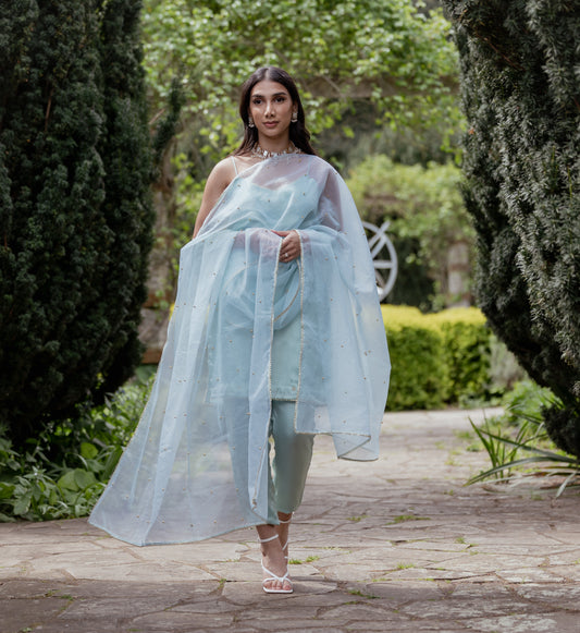 Our Petal Delights Indian Suit in Mint Green